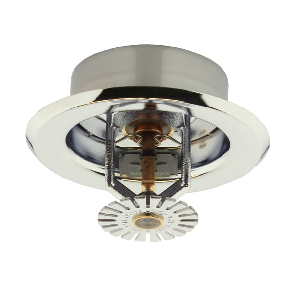 008_600x.JPG?v=1522434537