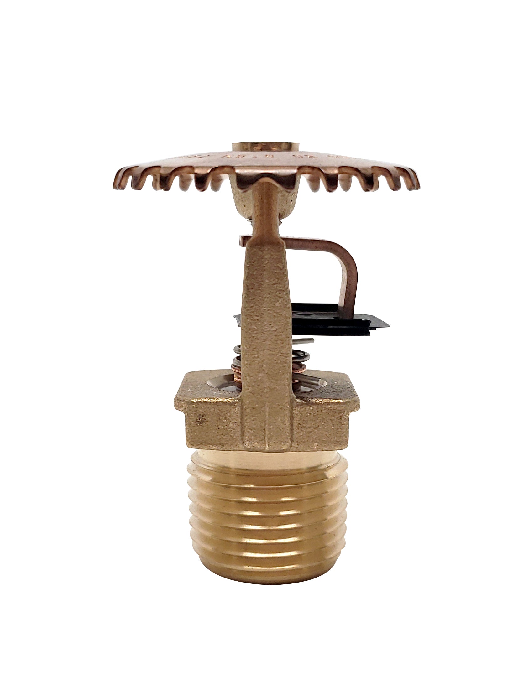 FR-QR Upright Sprinkler (SS2552), QR, 5.6K, Brass - Head Only