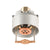 RC-QR Flat Concealed Sprinkler (SS9561), QR, 5.6K - Head Only
